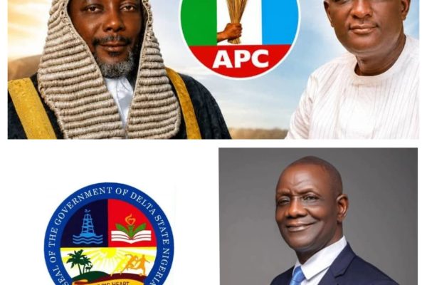 APC Delta